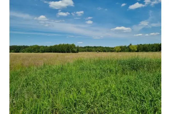warszawski zachodni, Leszno, Zaborówek, Działka na sprzedaż