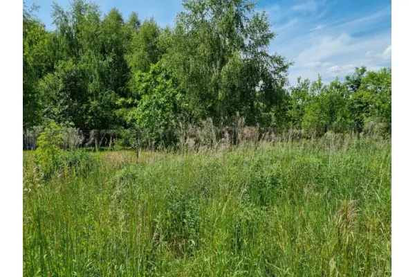 warszawski zachodni, Leszno, Zaborówek, Działka na sprzedaż