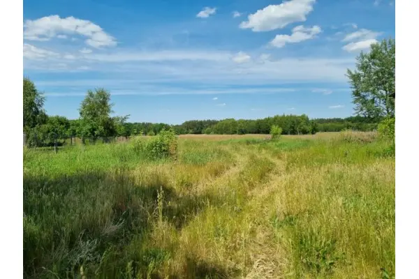 warszawski zachodni, Leszno, Zaborówek, Działka na sprzedaż