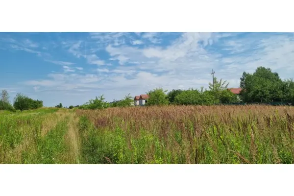 Michałowice-Wieś, Michałowice, Działka na sprzedaż
