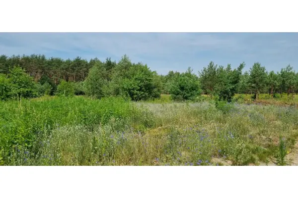 pruszkowski, Brwinów, Żółwin, Działka na sprzedaż