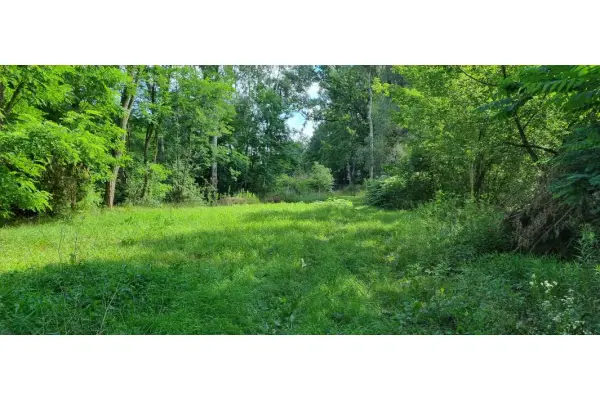 Owczarnia, Brwinów, Działka na sprzedaż